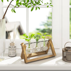Stație de propagare hidroponică Bamworld cu suport din lemn – 3 vaze din sticlă pentru creșterea plantelor acvatice și decorarea casei