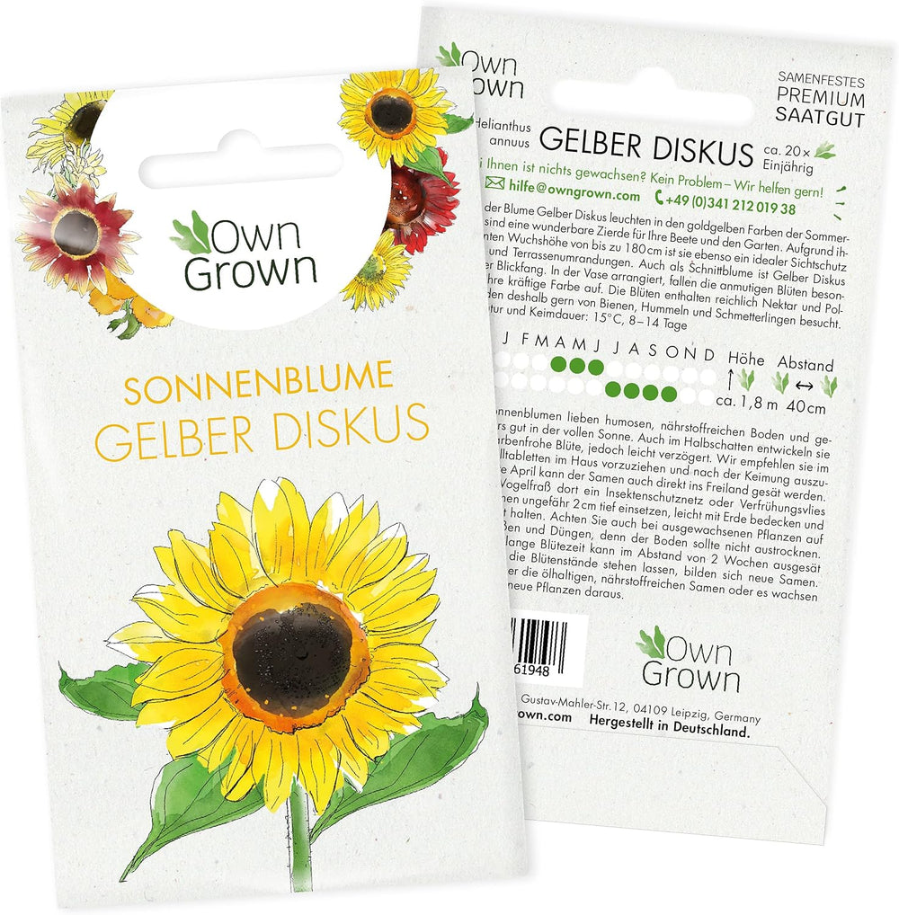 Semi di girasole Discus gialli (Helianthus annuus): semi di girasole premium, semi di girasole per coltivare circa 20 piante di girasole - Semi di fiori adatti agli insetti da OwnGrown