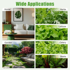 Kit di coltivazione idroponica da 36 fioriere, Kit di coltivazione idroponica 100×50×30 cm, Sistema di coltivazione idroponica con pompa dell'acqua, Sistemi di coltivazione di piante fuori suolo in PVC-U