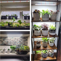 Wiaxulay Lampada per Piante LED a Spettro Completo 6000K Luci per Piante da Interno a Spettro Completo con Timer 6/12/16 Ore 5 Livelli Regolabili per Scaffale per Piante Grasse Idroponiche 2 Pezzi