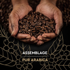 Black Card - Cafea în boabe - Clasică - Arabica pură - Certificată Rainforest Alliance - 2 pliculețe a câte 1 kg fiecare