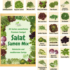 Mix di semi per insalata - Set da 20 varietà - Raccolta rapida, taglio e insalate invernali - 100% naturale - Senza stimolanti della crescita - Confezionato con amore - Include istruzioni ed etichettatura individuale