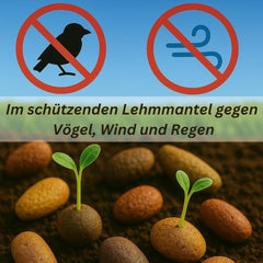 Semi di fiori ricoperti di argilla protettiva per api e farfalle, 400 g. Miscela di fiori selvatici perenni e resistenti all'inverno per 20 m². Bellissimi semi di fiori di campo per un colorato pascolo di api. Regalo per bambini.