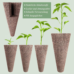 125 spugne per coltivazione, 50 spugne di ricambio per coltivazione, accessori per sistema di avviamento idroponico con 50 etichette, 12 cappucci isolanti, 12 cestini per piante, 1 pinzetta