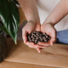 Westland Clay Granules, 5 L - Granuli per piante ideali per la coltura idroponica, substrato drenante senza additivi chimici, per uso interno ed esterno