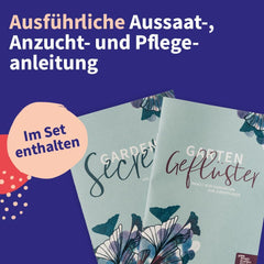 Magic Garden Seeds - Set di semi di piante medicinali dell'Europa centrale - 12 varietà tradizionali di piante medicinali popolari - Varietà antiche - Accessori da giardino - Semi di piante - Regalo per gli amanti del giardino