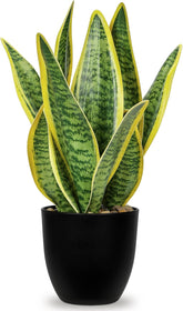 Sansevieria Kunstpflanze Im Keramiktopf, Kleine Zimmerpflanze, Künstliche Schlangenpflanze, Kunstpflanzen Wie Echt Perfekt Für Badezimmer Schlafzimmer Home Office Dekoration, Höhe 33Cm