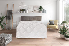 Traumnacht Comodo piumino monouso in cotone per tutte le stagioni, piumino ideale per le mezze stagioni con fodera in misto cotone, 135 x 200 cm, lavabile, certificato Oeko-Tex, realizzato secondo gli standard di qualità tedeschi Trapunte e trapunte Naty Shop 135 x 200 piumino medio per tutte le stagioni