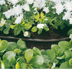 Furtun de picurare Draper 68261, 15 m, diametru furtun 12 mm, perforat