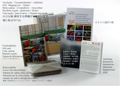 SAFLAX - Geschenk Set - Heilpflanzen - Echter Koreanischer Ginseng - 10 Samen - Mit Geschenk- / Versandbox, Versandaufkleber, Geschenkkarte Und Anzuchtsubstrat - Panax Ginseng