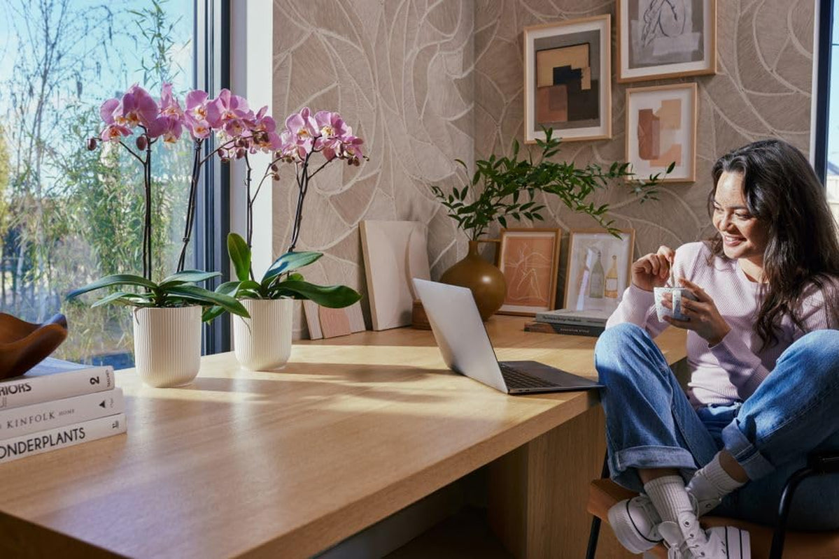 elho Vibes Fold Orchid High 12.5cm – Ghiveci pentru orhidee de interior – Ghivece de flori de interior – Plastic 100% reciclat – Alb/Alb mătăsos