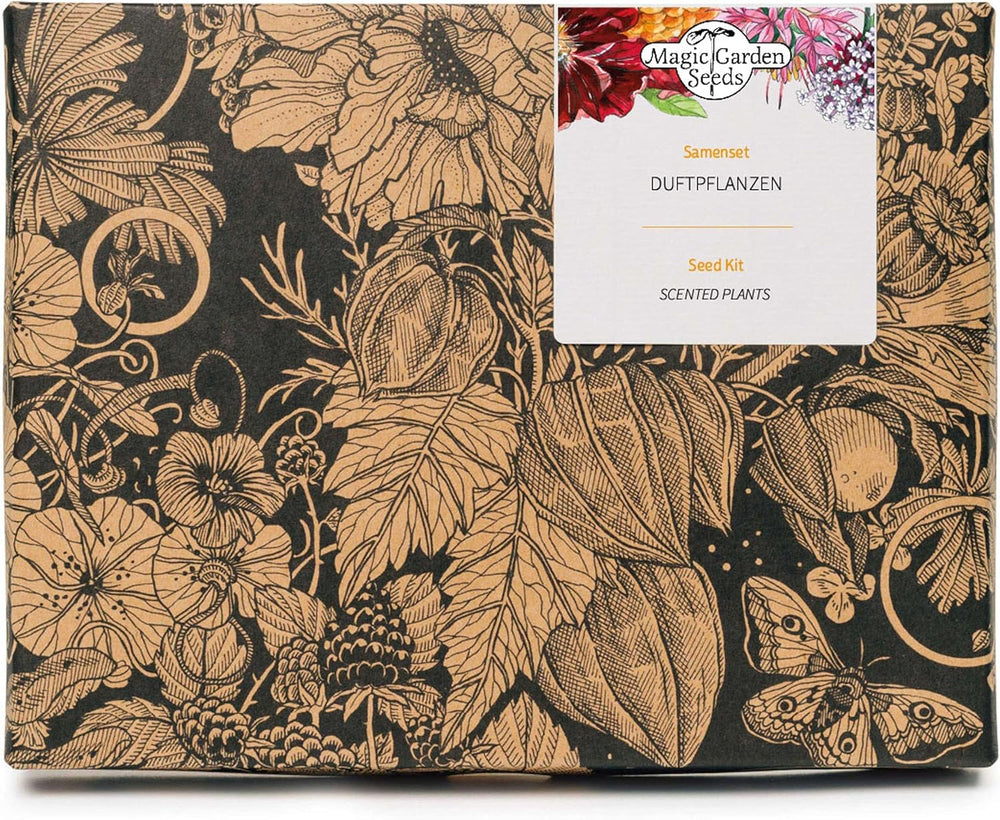 Piante profumate: set regalo con semi e 6 piante con fiori meravigliosamente profumati