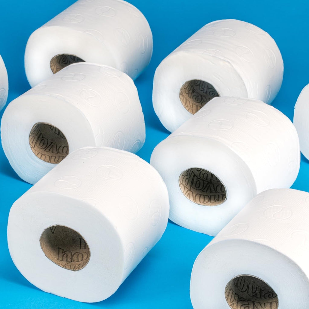 Hârtie sanitară dublă Renova, 18 role