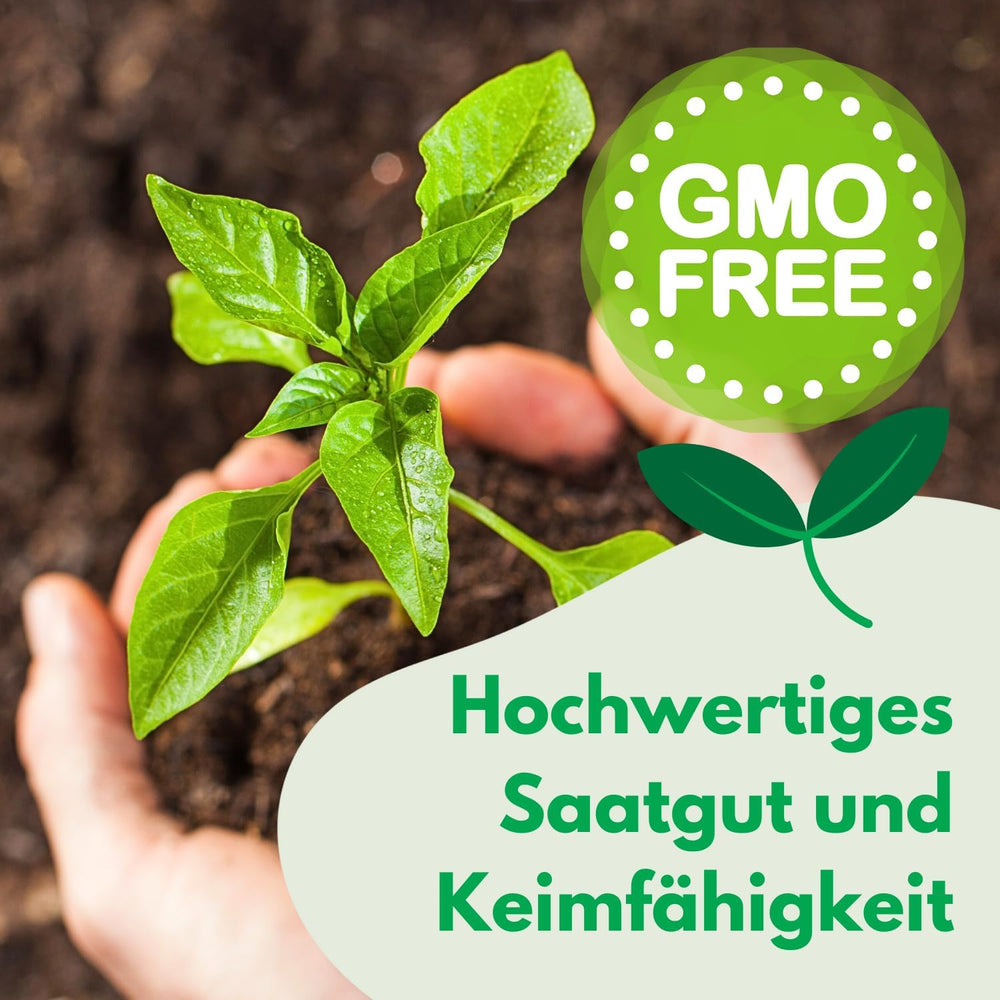 Semi Cosmos Sensation Mix 1g, Cosmos Mix Fiori estivi, Piante da giardino Piante da balcone, Semi di fiori