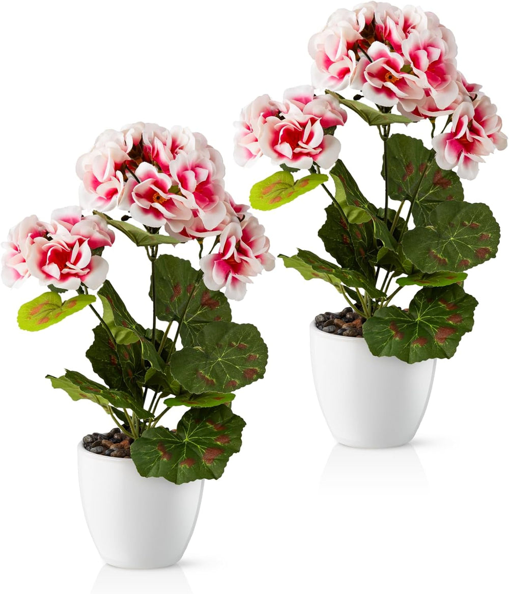 PASCH® Begonie Im Hochglanz-Keramiktopf | Kunstblumen Im Topf | Künstliche Blumen Wie Echt | Fake Blumen | Kunstblumen Wie Echt (Japanische Begonie, 3 Stück, 16Cm)