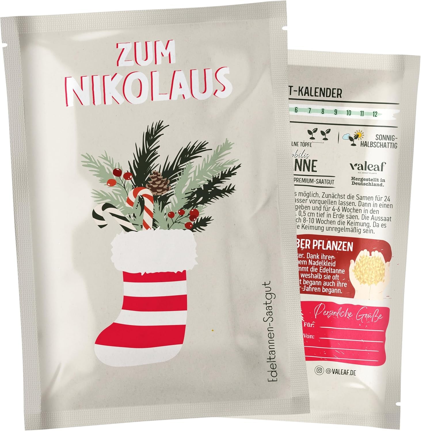 Albero di Natale 2030 - Semi di albero di Natale Nordmann per piantare un albero di Natale, ideale come regalo di Natale segreto di Babbo Natale