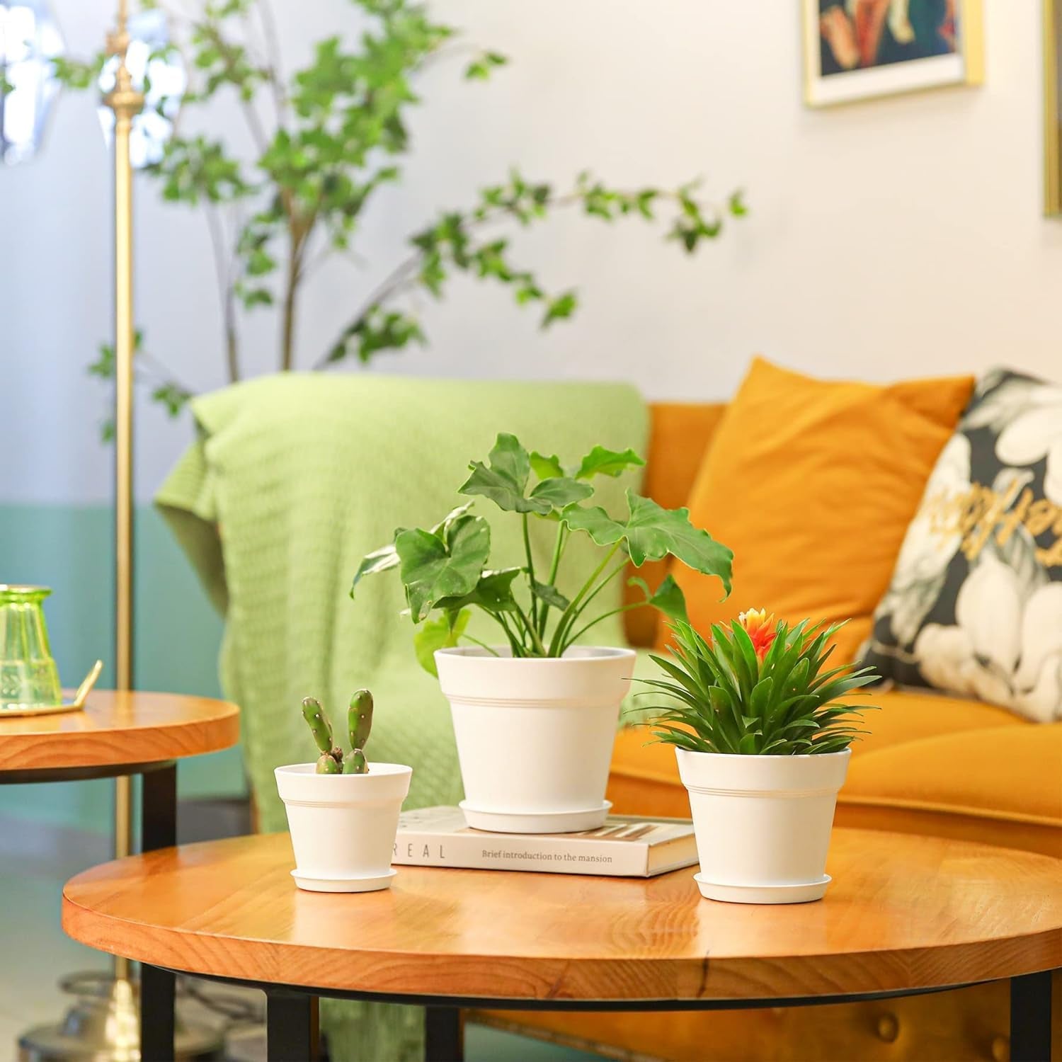 T4U Ghiveci de flori din plastic de 16 cm cu farfurie, set de 6 ghivece din plastic pentru plante aromatice cu găuri multiple de drenaj, ghiveci rotund pentru plante suculente de interior și balcon, cactuși, alb