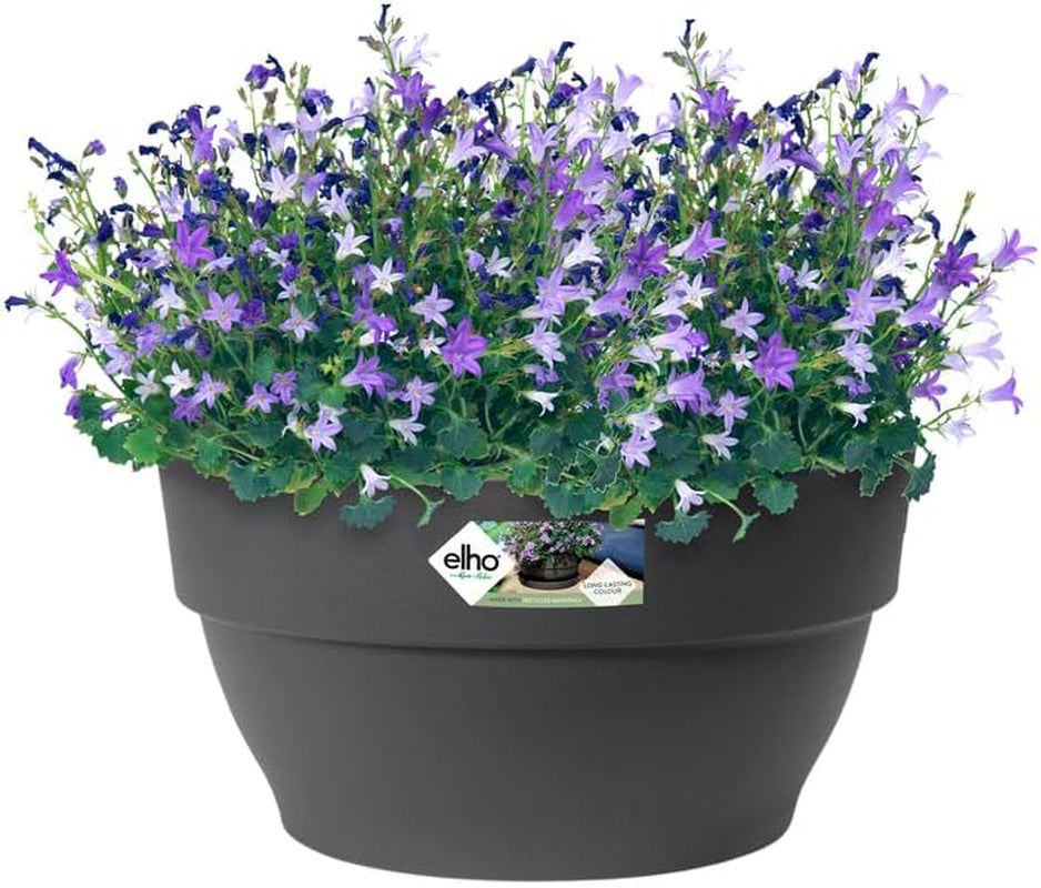 elho Vibia Campana Bowl 27 - Ghiveci de flori pentru exterior - Ø 27,0 x H 14,0 cm - Negru/Antracit