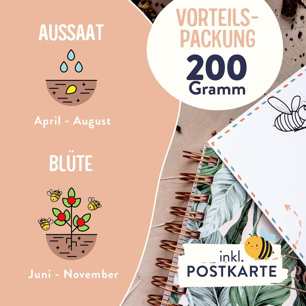 Blumenwiese Samen I 200 g I Blumensamen mehrjährig I Samen für Bienen Blumenmischung I Wildblumensamen f. Balkonblumen, Wildblumen I Wildblumensamen più inverno come Bienenweide