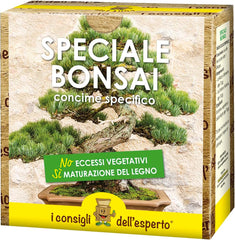 Speciale Bonsai
