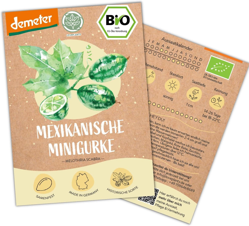 Semi di cetriolo messicano mini biologici, 10 semi di cetriolo snack, alto tasso di germinazione, certificati Demeter e impollinati aperta | LOVEPLANTS Semi di ortaggi per aiuola rialzata da giardino sul balcone - Varietà di ortaggi cimelio