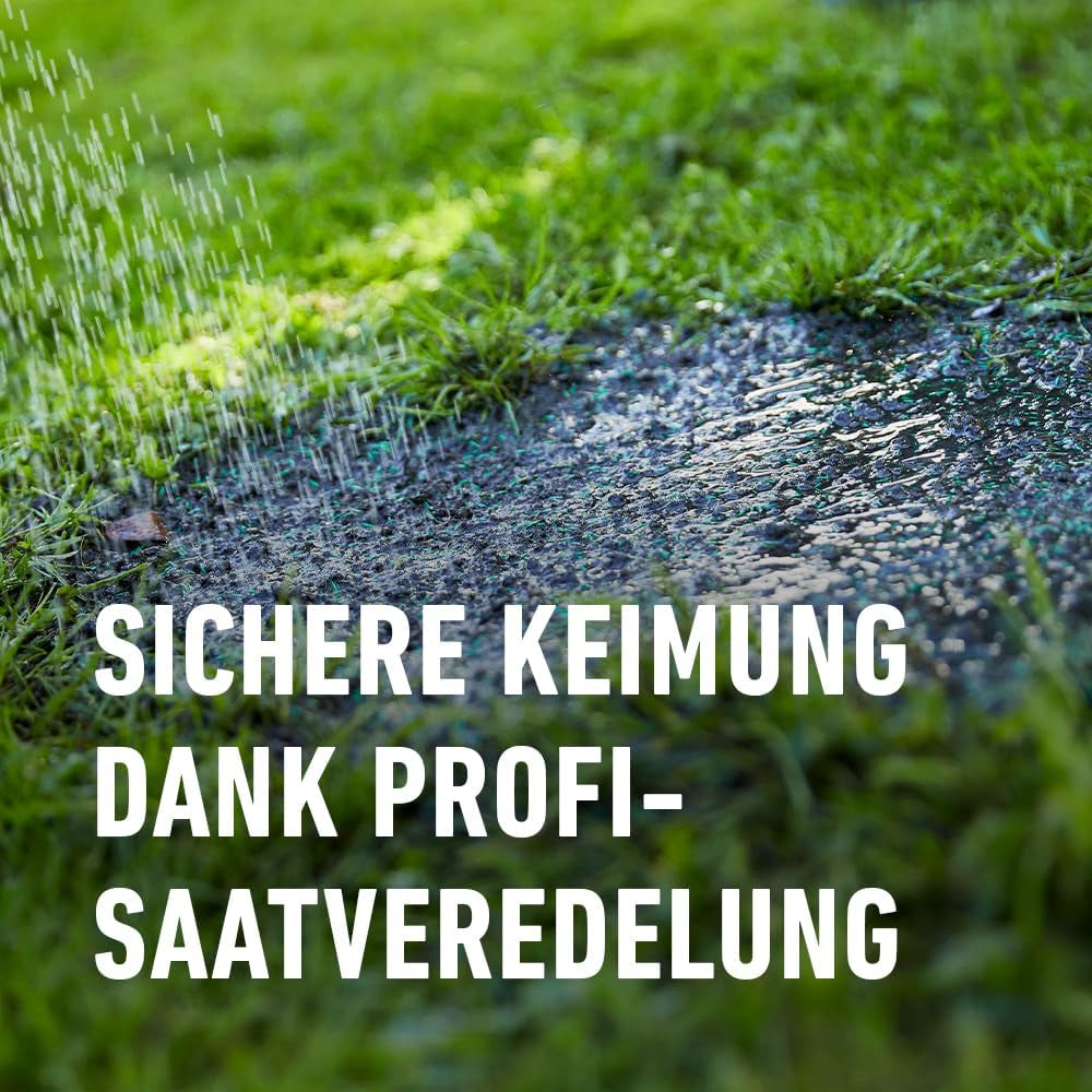 Compo SAAT Schattenrasen 1 Kg