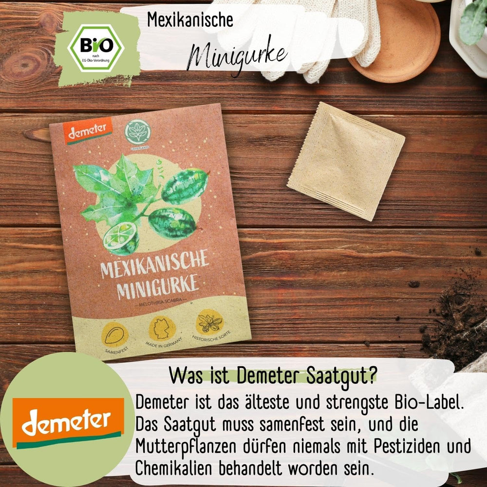 Semi di cetriolo messicano mini biologici, 10 semi di cetriolo snack, alto tasso di germinazione, certificati Demeter e impollinati aperta | LOVEPLANTS Semi di ortaggi per aiuola rialzata da giardino sul balcone - Varietà di ortaggi cimelio