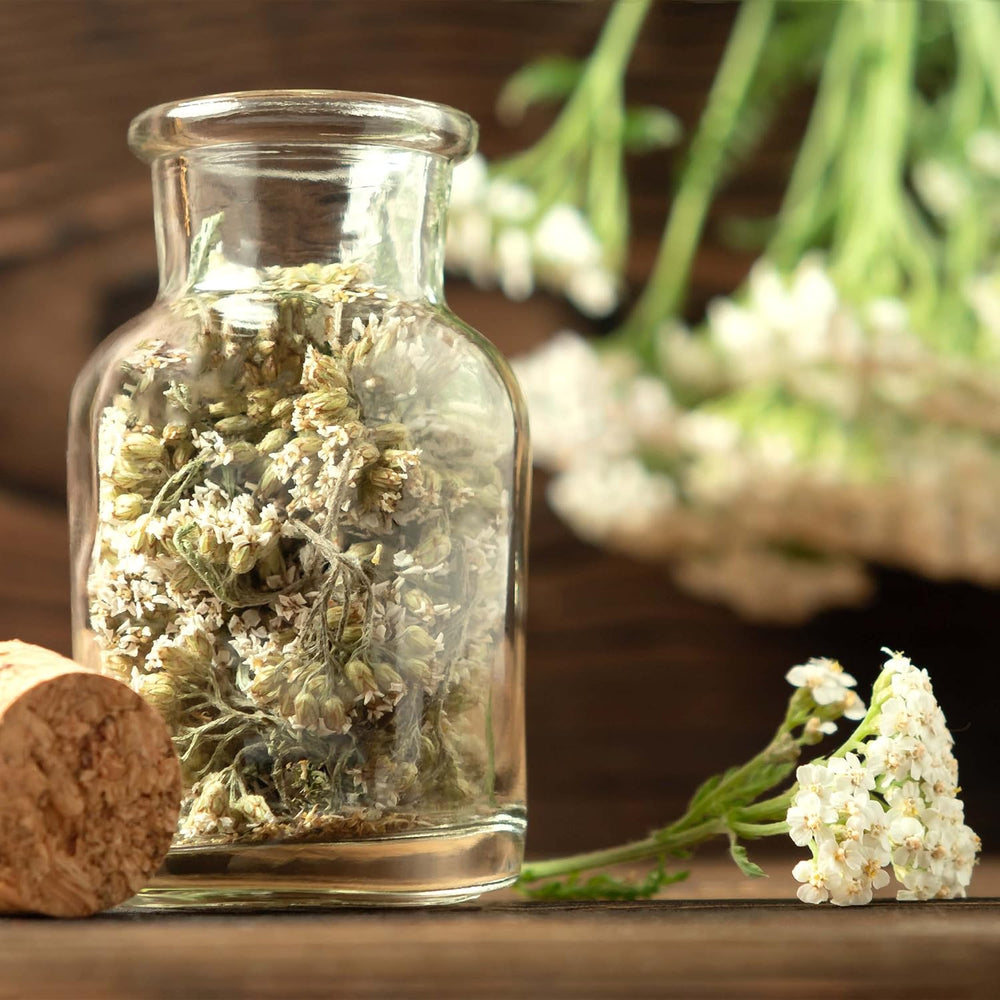 Set di semi di tè: 8 varietà di semi per balcone e giardino - menta, camomilla, anice, ortica, malva - semi di piante - tè - scatola da tè - Piante OwnGrown