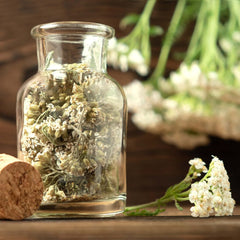 Set di semi di tè: 8 varietà di semi per balcone e giardino - menta, camomilla, anice, ortica, malva - semi di piante - tè - scatola da tè - Piante OwnGrown