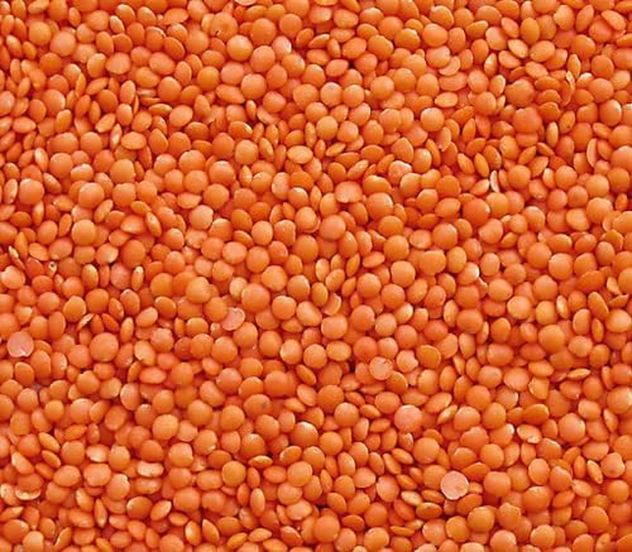 Lenticchie Rosse Seba Garden 1kg - Lenticchie Intere Premium dal Canada - Massor Dal, Non OGM, Ricco di Proteine, Ricco di Fibre - Tutto Naturale, Vegano, Senza Glutine, Ideale per Zuppe e Curry