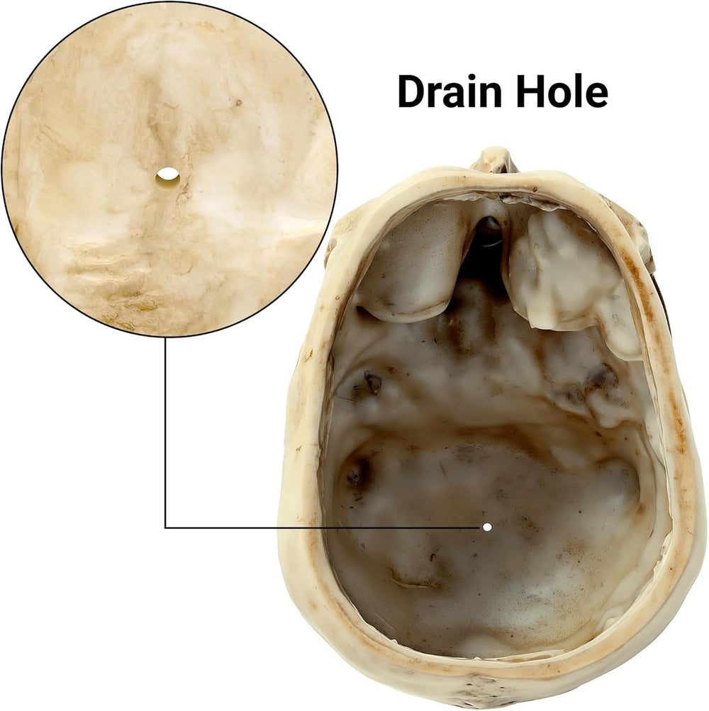 Ghiveci de flori READAEER în formă de craniu