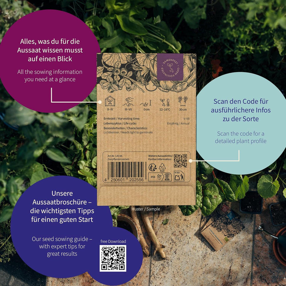 Magic Garden Seeds - Il giardino del monastero: verdure ed erbe aromatiche dal Medioevo - 9 storiche scatole di semi culinari, medicinali e da giardino