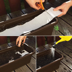 Mix di fiori colorati per balconi - 2 tappetini per semi di fiori da balcone premium Fiori estivi facili da coltivare e semi di fiori selvatici da semi annuali adatti agli insetti