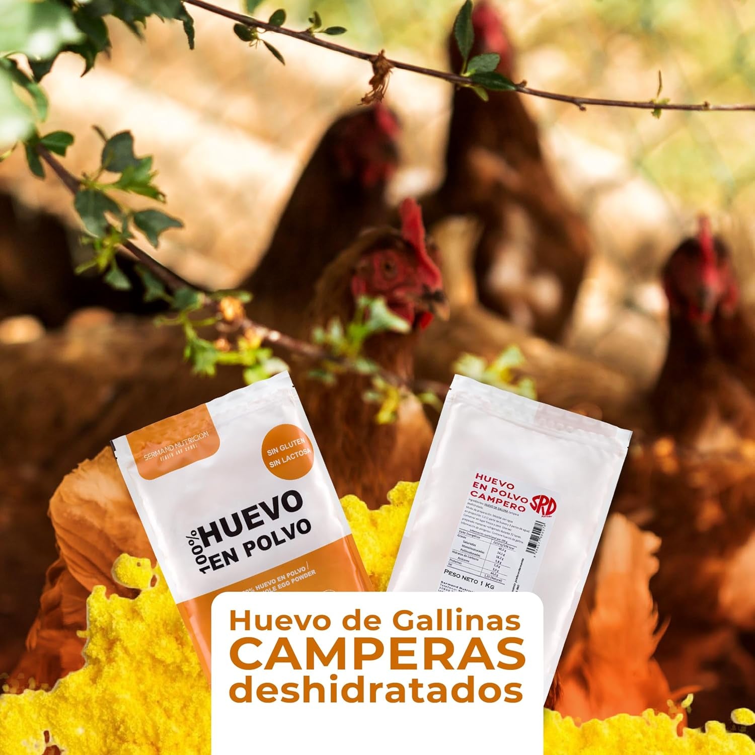 Eipulver aus Freilandeiern (1kg) | Pasteurisiertes Vollei Pulver | Ohne Zusatztoffe | Senza glutine e senza lattosio | Vakuumverpackung im Zip-Beutel