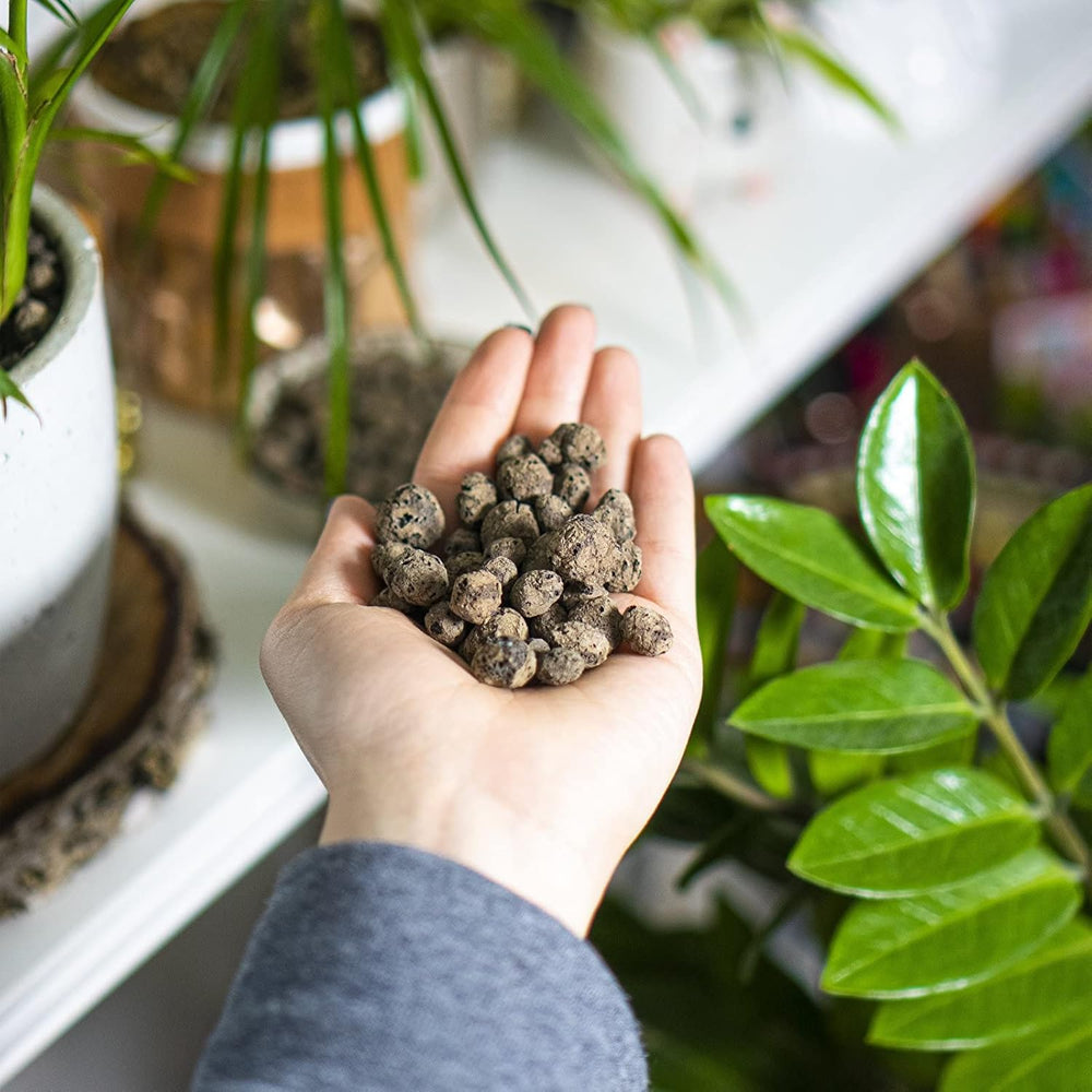 Browin 749950 Keramsit - argilla espansa 4 L, 10-20 mm, marrone