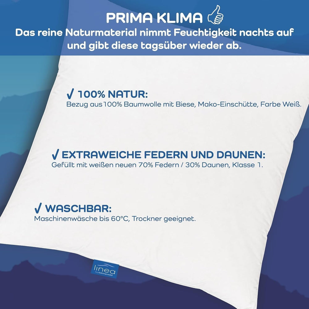 LINEA by Böhmerwald - Cosy - Pernă de înaltă calitate Balance, 40X80, 70% pene clasa 1, 30% puf nou, potrivit pentru alergici, lavabil până la 60°C, produs în Germania Perne standard Naty Shop