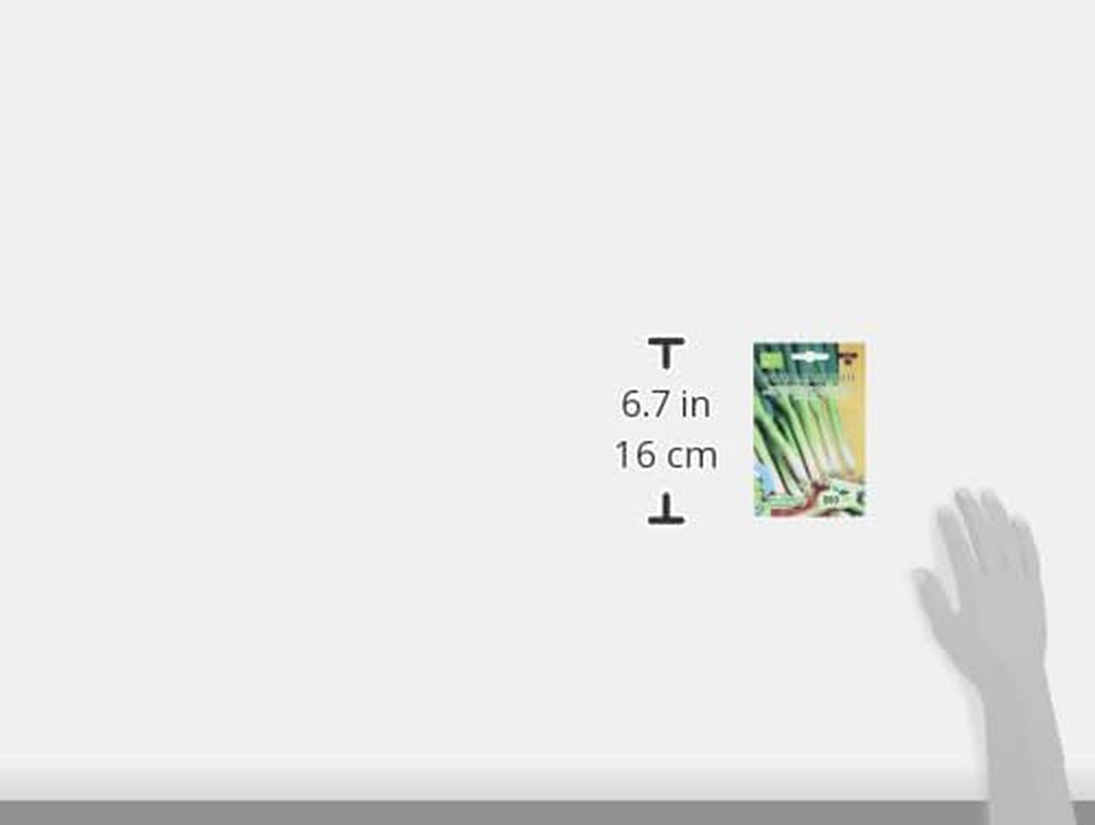 Schnittlauch ISHIKURA LONG WHITE ECBIO1020