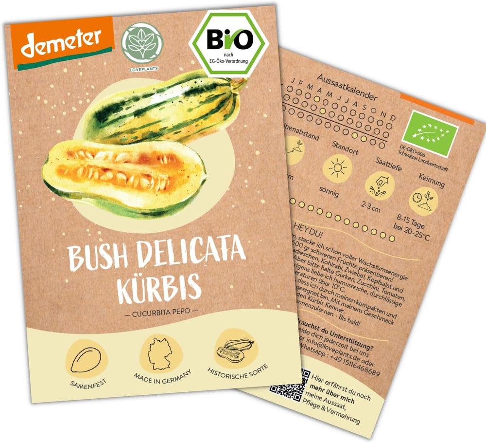 Semi di cetriolo messicano mini biologici, 10 semi di cetriolo snack, alto tasso di germinazione, certificati Demeter e impollinati aperta | LOVEPLANTS Semi di ortaggi per aiuola rialzata da giardino sul balcone - Varietà di ortaggi cimelio