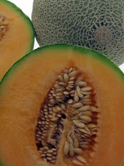 Melone 'Blenheim Orange' (Cucumis Melo) - Ca. 10 Samen