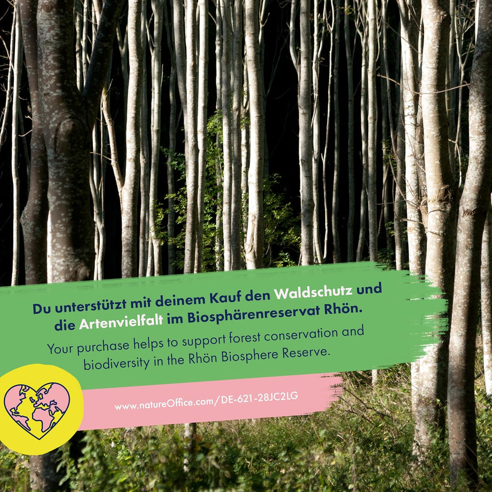 Fiori secchi - 10 varietà di fiori impollinati gratuiti - Eterni e belli - Set di semi per principianti, come piccolo regalo o per uso personale