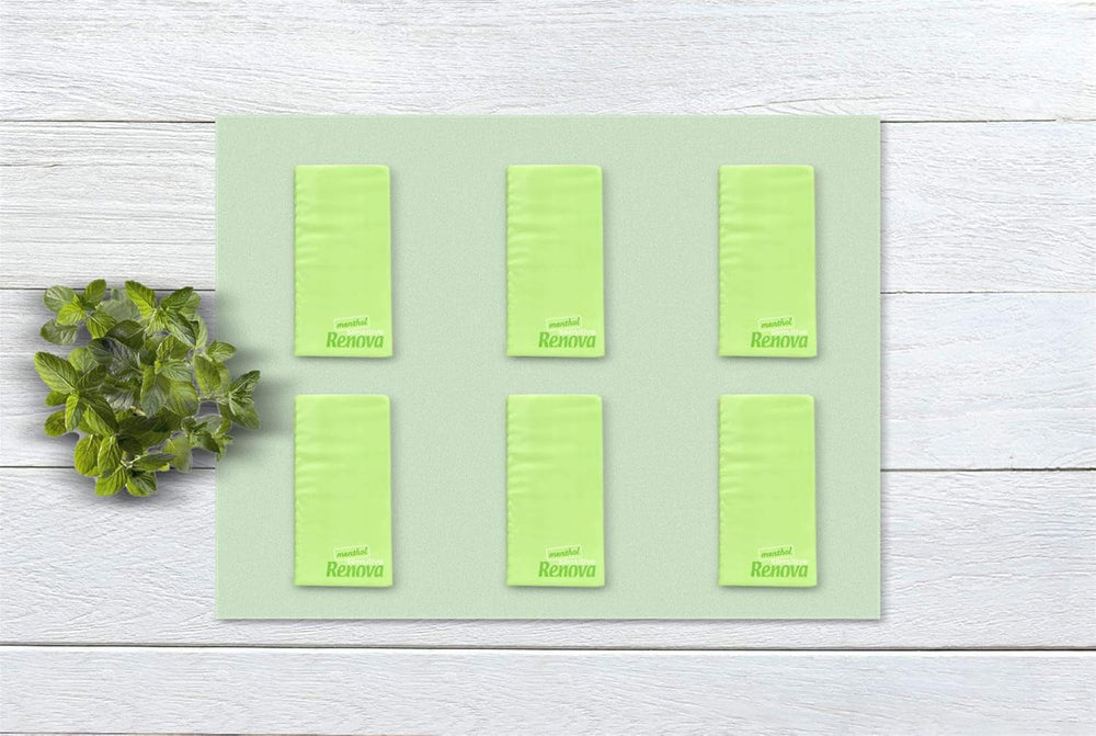 Șervețele de buzunar Renova SENSITIVE MENTHOL 6 pachete alb regulat 1 bucată (pachet de 6)