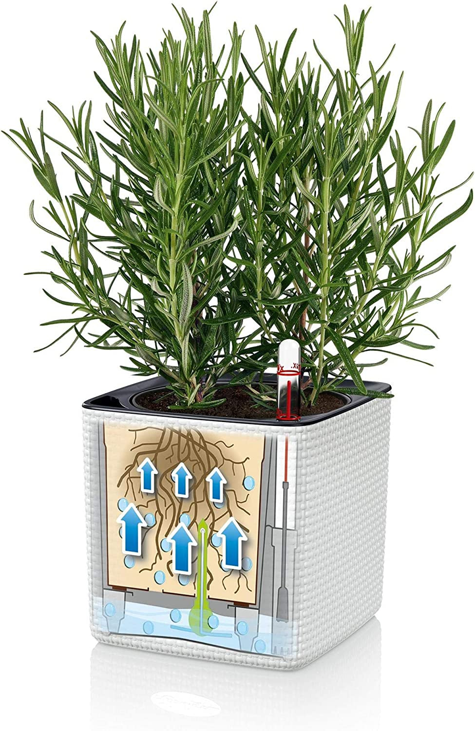 LECHUZA CUBE Culoare 16 gri ardezie 13584