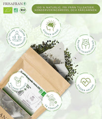 FRISAFRAN | Ceai verde organic Mint Gunpowder în piramide 30 unități | 60G | Antioxidant | Ceai verde japonez | Digestiv | Băutură răcoritoare | Infuzie de mentă | Ceai pur | Frunze de mentă | Cald-rece