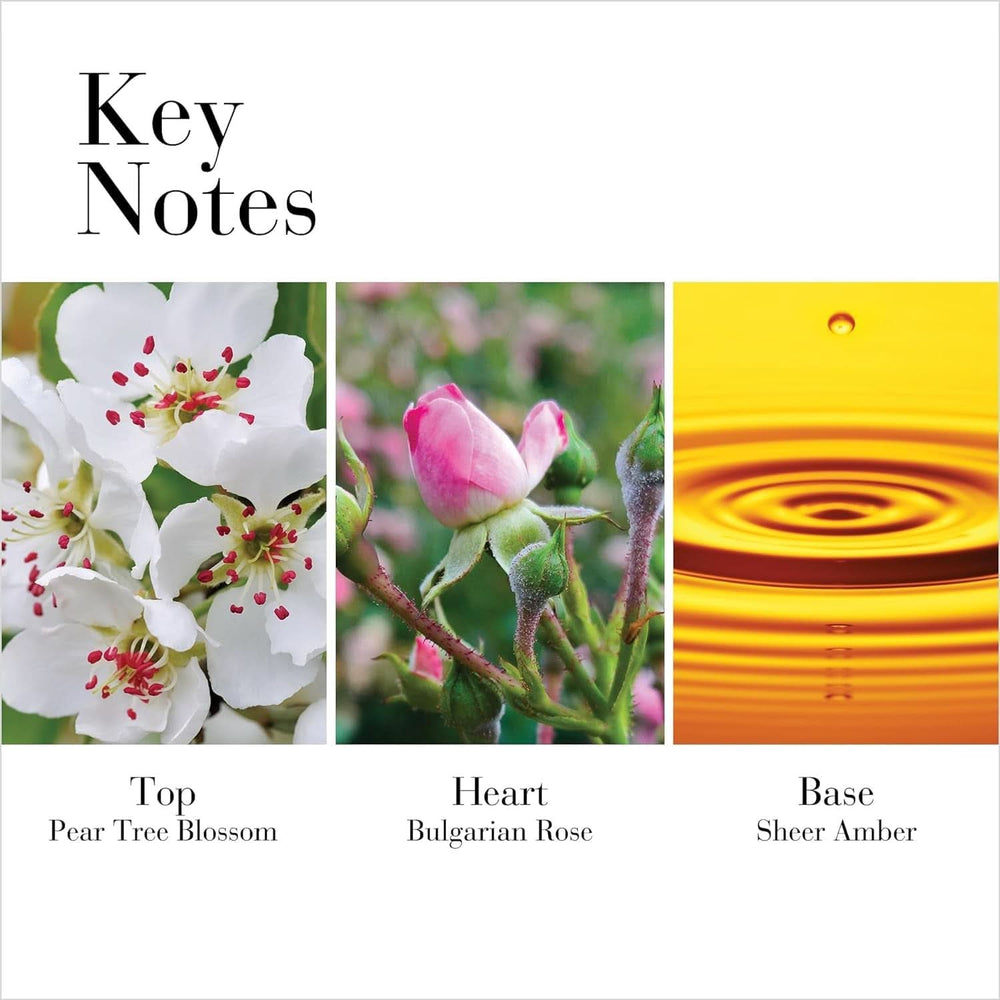 Elizabeth Arden - Wild Rose White Tea, crema corpo alla rosa per donna Cosmetici e Bellezza Naty Shop