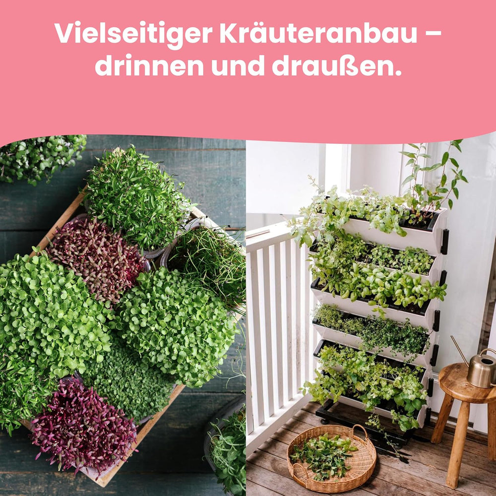 LERAVA Kräutersamen Set – 12 Sorten: Basilikum Samen, Parsilie Samen, Koriander, Origano & mehr – Saatgut für frische Kräuter im Garten oder Topf, Premium Samen für Küche & Balkon - Samen set, semi