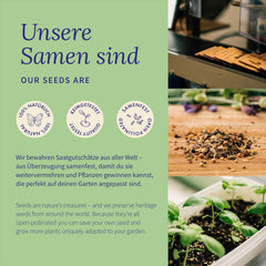 Magic Garden Seeds - Melonen Garten Saatgut-Box Mit 4 Sorten - Wassermelone, Honigmelone & Zuckermelone Für Hochbeet, Topf & Garten - Aromatisch & Süß