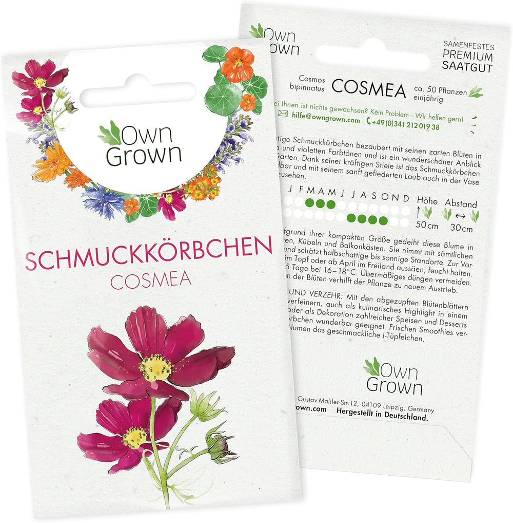 Semi di cosmo (chiazzato): semi di cosmo premium per 100 piante di cosmo in fiore – Semi di fiori commestibili – Semi di fiori colorati – Semi di fiori selvatici di OwnGrown