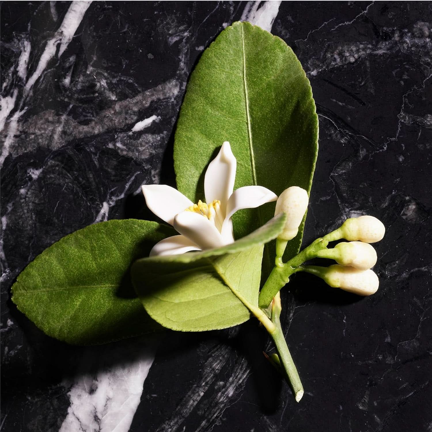 JOOP! Homme, Gel de duș pentru bărbați, parfum oriental-floral-lemnos, 150 ml Duș și baie Naty Shop