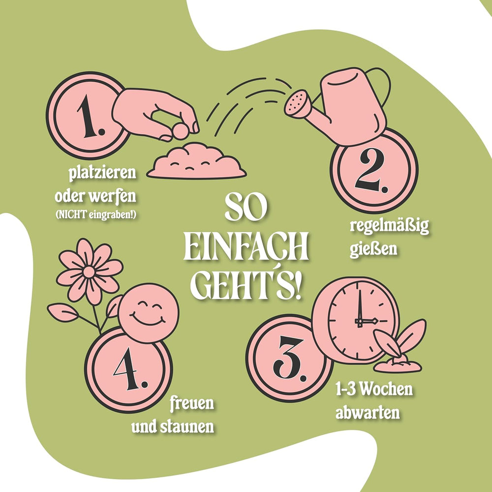 LouMaxx Set di bombe di semi fatte a mano 10x3, bombe di semi regalo, semi di fiori come bomboniere, semi sostenibili per bomboniere per bambini, palline per fioriere ecologiche con oltre 50 tipi di semi di fiori