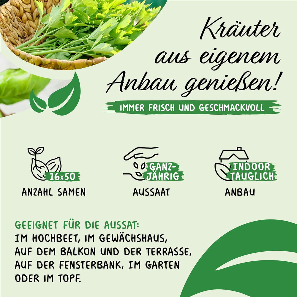 Prademir – Kräutersamen Set aus 16 beliebten Küchenkräutern – Kräuter Anzuchtset mit 100% Natursamen aus Portugal – Kräuter Saatgut aus Origano, Timo, Maggiorana, Rosmarino, Aneto, Basilico, Salvia uvm